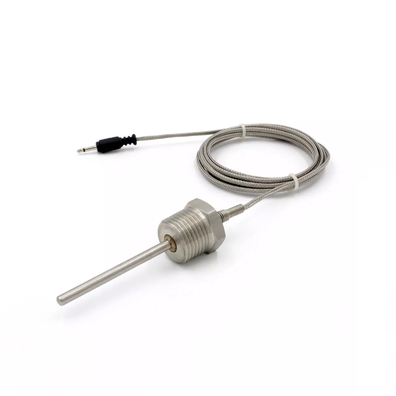 Custom PT100 Temperature Sensor with Threaded Housing