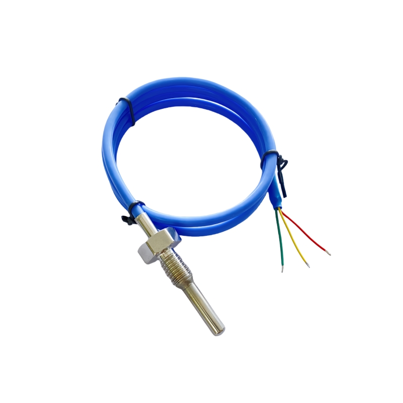 Custom PT100 Temperature Sensor with Threaded Housing