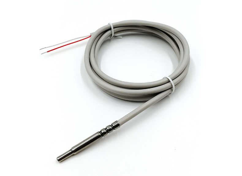 Waterproof PT1000 RTD Temperature Sensor (2-Wire)