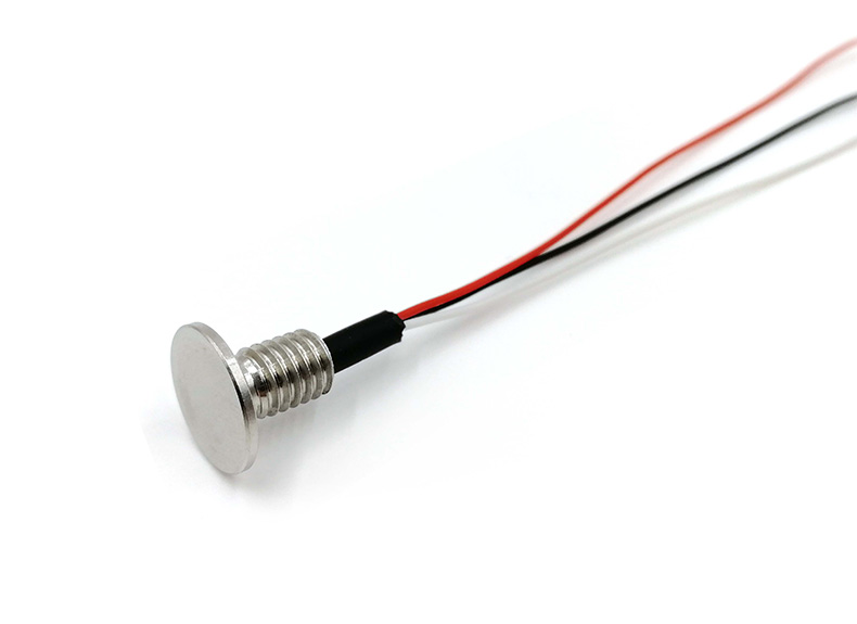3 Wire PT100/PT1000 Temperature Sensor Screw-In with M6 Threaded