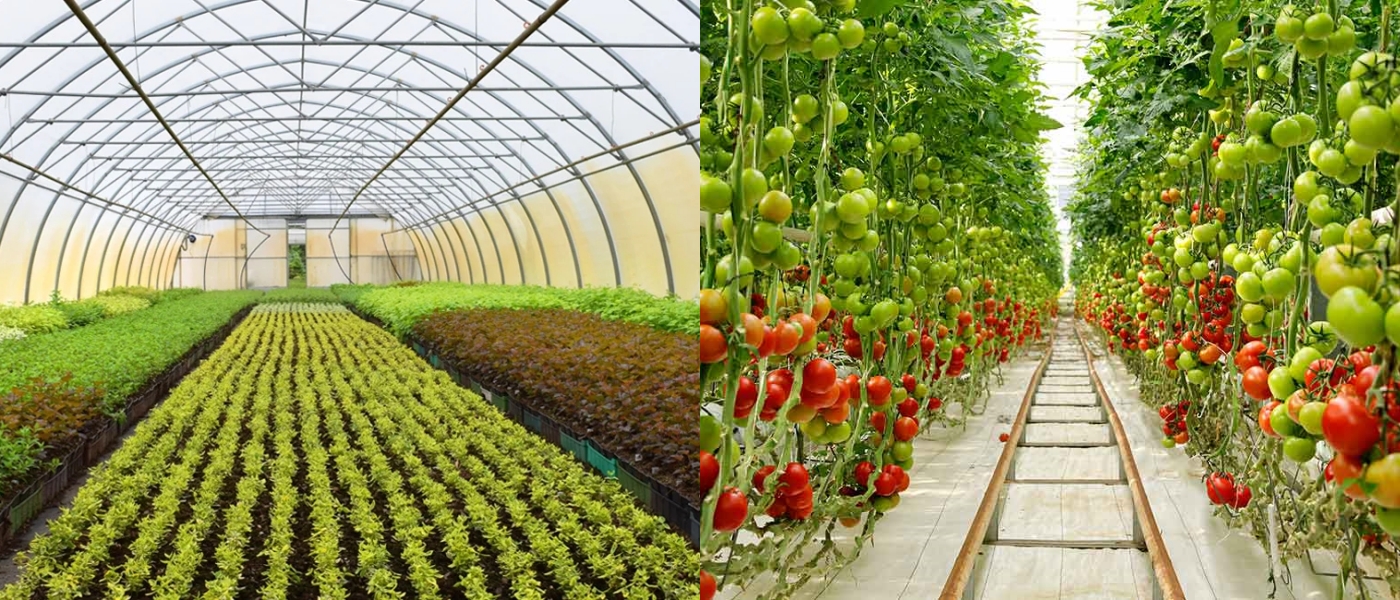 Agriculture