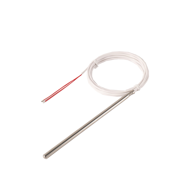 Class A Heraeus PT100 Temperature Sensor with SS304/SS316 Probe