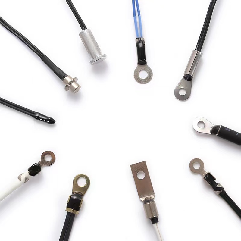 Diverse and Customizable Probe Options
